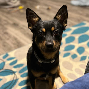 Meet your Posher, Stephanie